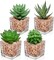 Set of 4 Mini Artificial Succulent Plants in Cube Glass Pots – Small Fake Potted Succulents for Bathroom, Kitchen, Living Room, Shelf, Desk & Home Decor
